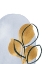 Picture of MUSTARD LEAVES I