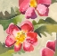Picture of WARM BLOOMS