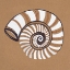 Picture of OCEAN WORLD SHELL