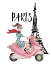 Picture of PARIS BY MOPED