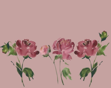 Picture of TRIO OF PEONIES