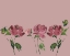 Picture of TRIO OF PEONIES