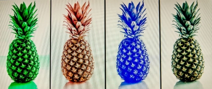 Picture of PINEAPPLES