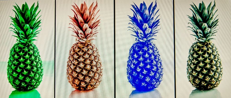 Picture of PINEAPPLES