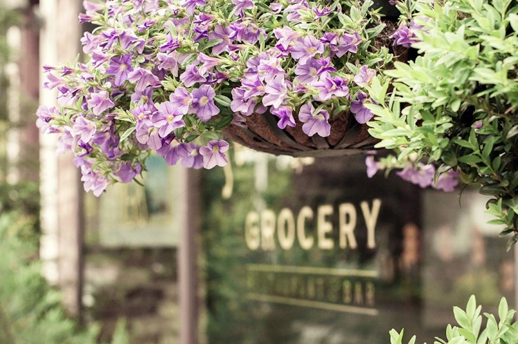 Picture of COUNTRY GROCERY STORE