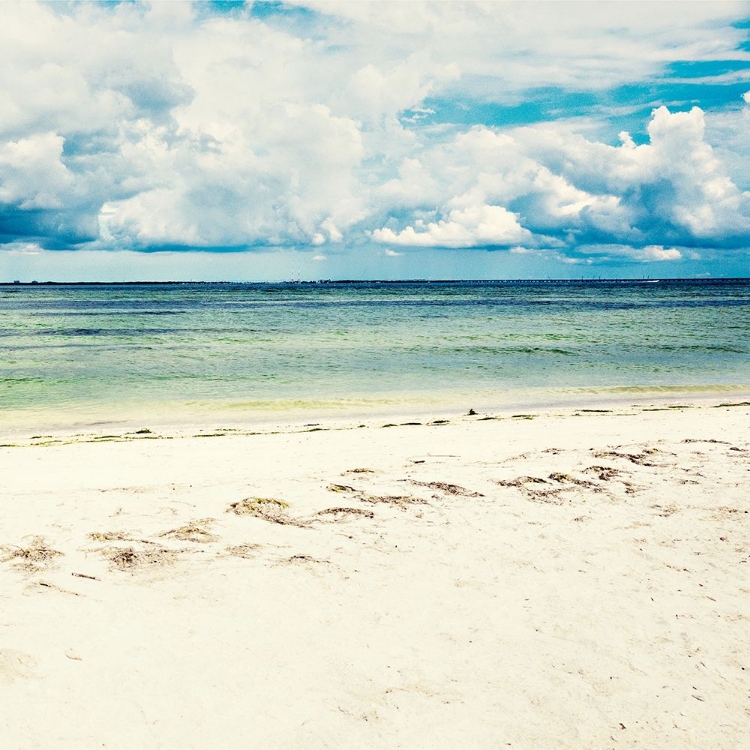 Picture of FOOTSTEPS IN THE SAND