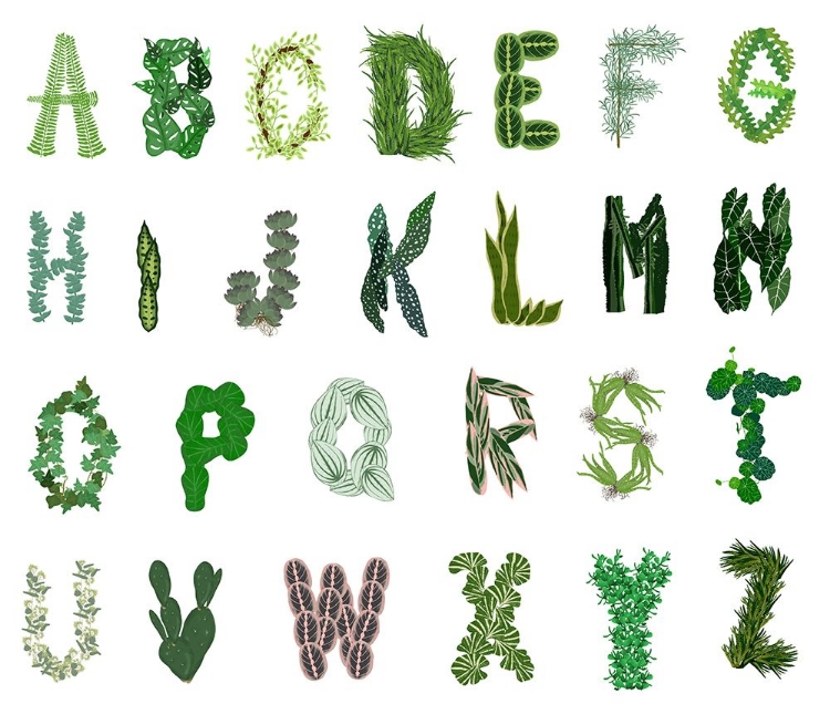 Somerset House Images PLANT ALPHABET
