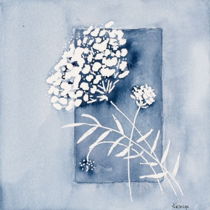 Picture of BLUE AND WHITE FLORAL FRAMED