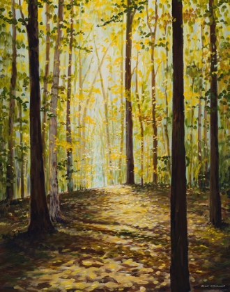 Picture of AUTUMN FOREST