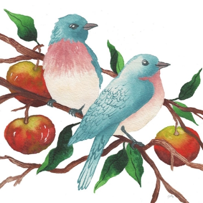 Picture of BIRDS AND APPLES