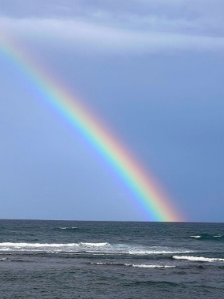 Picture of RAINBOW MEETS HORIZON