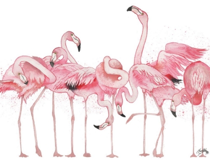 Picture of FLAMINGOS FLAUNTING IT