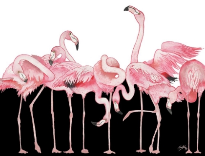 Picture of BLACK AND WHITE MEETS FLAMINGOS