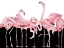 Picture of BLACK AND WHITE MEETS FLAMINGOS