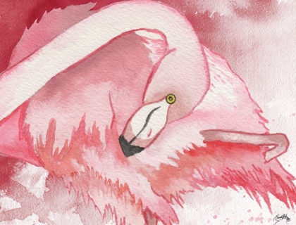 Picture of RESTING FLAMINGO