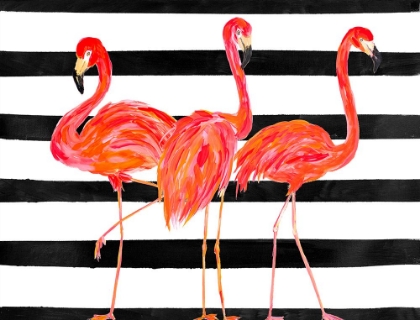 Picture of FONDLY FLAMINGO TRIO ON STRIPE