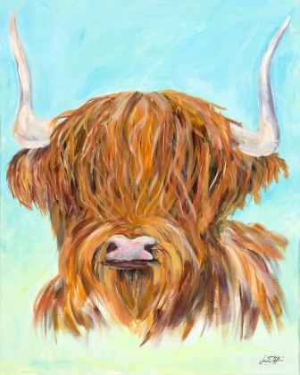 Picture of HIGHLAND COW