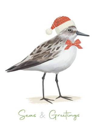 Picture of CHRISTMAS SANDPIPER I