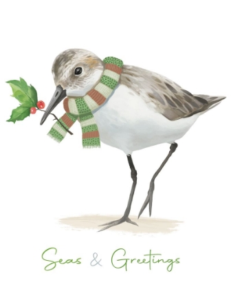 Picture of CHRISTMAS SANDPIPER II