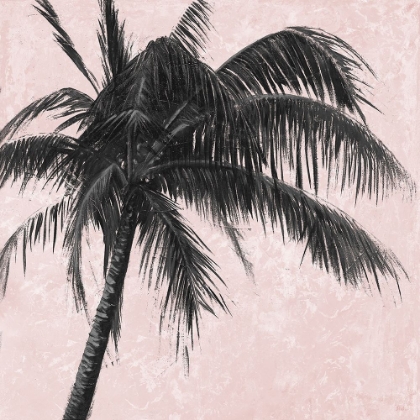 Picture of GRAY PALM ON PINK I