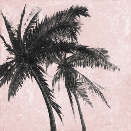Picture of GRAY PALM ON PINK II