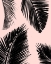 Picture of BARÚ PALM PATTERN ON BLUSH II