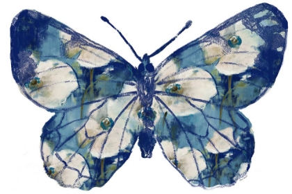 Picture of FLORAL INDIGO BUTTERFLY