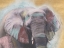 Picture of PASTEL ELEPHANT