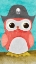 Picture of PIRATE OWL II