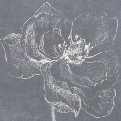 Picture of NEUTRAL FLORAL DRAWING I