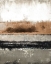 Picture of AUTUMN RAIN