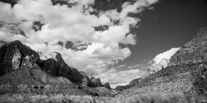 Picture of ZION CANYON II