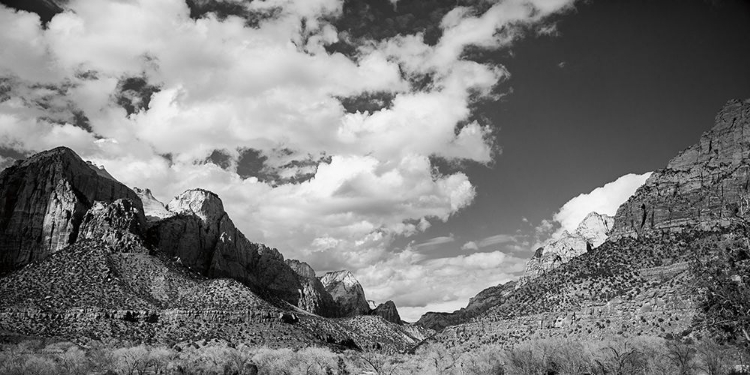 Picture of ZION CANYON II