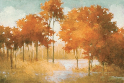 Picture of AUTUMN LAKE ORANGE