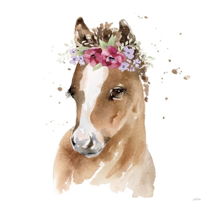 Picture of FLORAL PONY PINK SQ