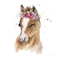 Picture of FLORAL PONY PINK SQ