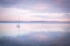 Picture of SAILBOAT IN BELLINGHAM BAY I VIGNETTE