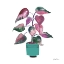 Picture of POTTED JEWELS II AQUA