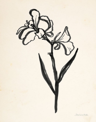 Picture of INK FLOWER II CREAM