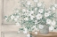 Picture of WHITE BOUQUET NEUTRAL