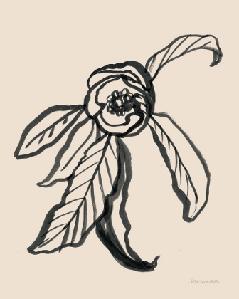 Picture of INK SKETCH FLOWER