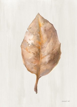 Picture of FALLEN LEAF II TEXTURE