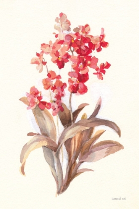 Picture of AUTUMN ORCHID I