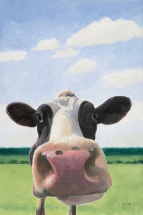 Picture of FUNNY COW