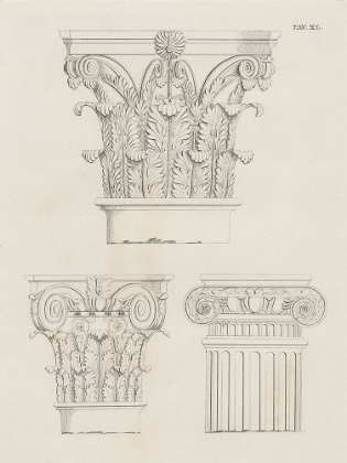 Picture of ITALIAN VOLUTE