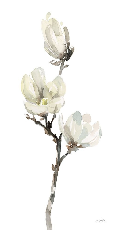 Picture of WHITE MAGNOLIA I