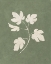 Picture of BOTANICAL STUDY III FOREST GREEN