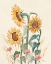 Picture of SUNFLOWER SEASON IX BRIGHT