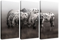 Picture of Appaloosa Triptych by Robert Dawson