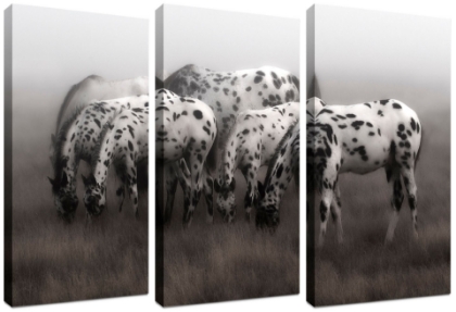 Picture of Appaloosa Triptych by Robert Dawson